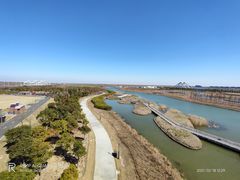 -春花秋色城市公园