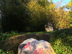 -深圳国际园林花卉博览园