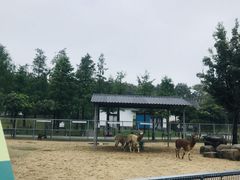 -上方山森林动物世界