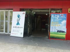-车艺尚上海龙膜隐形车衣汽车贴膜旗舰店