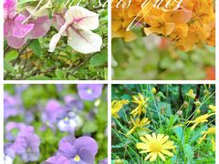 -古龙峡云天玻霸