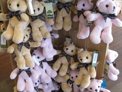 -济州岛泰迪熊博物馆