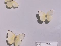-台州博物馆