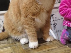 -小时光咖啡馆(开森度假森林店)