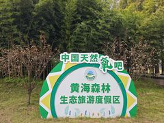 -黄海国家森林公园