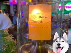 -Famous肥猫墨西哥音乐餐吧(五棵松华熙LIVE店)