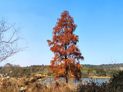 -南京市无想山景区