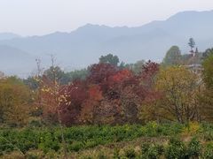 -塔川景区