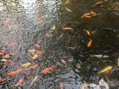 -珠海圆明新园