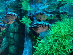 -沈阳海洋探索中心