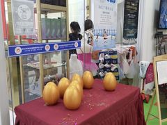 -予荷舞蹈(盛景校区)