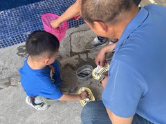 -鸿渡渔庄·特色鸭咀鱼