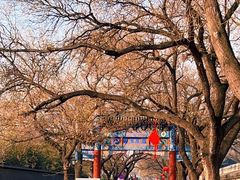 -北京国子监胡同