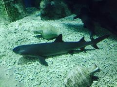 -福州罗源湾海洋世界旅游区