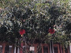 -龙潭水乡