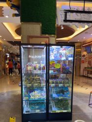 -卡通尼·Safari非洲探索乐园·生日会(金桥国际商业广场店)