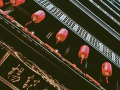 -杨记隆府(重庆总店)