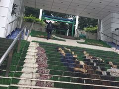 -九龙公园