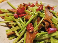 榆耳藜蒿小炒-七色云蔬食(喜邻里店)