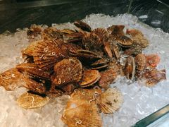 扇贝-阳光壹佰美爵酒店-绿洲西餐厅