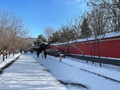-二一九公园