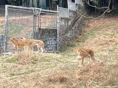 -宁波野生动物园