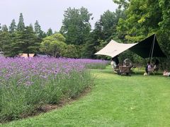 -上海滨江森林公园
