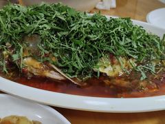 -老字号怡玺·藿香雅鱼(20年雅安店)