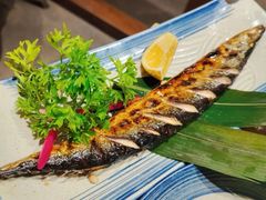 -三月居酒屋(青年大街店)