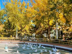 -南宫五洲植物乐园