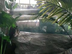 -汤乐汇•足道•SPA生活馆