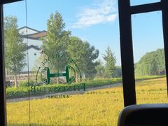 -乌村