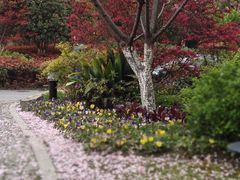 -杭州城北体育公园