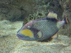 -福州罗源湾海洋世界旅游区