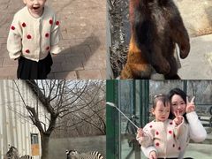 -水上乐园·欢乐世界