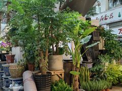 -双季花艺园艺市场(浦东店)