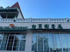 -青岛海景花园大酒店·白果树餐厅青岛菜
