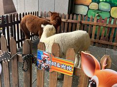-杭州烂苹果乐园