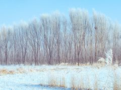-塞罕坝国家级自然保护区