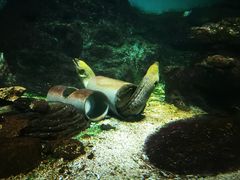 -北戴河圣蓝海洋公园