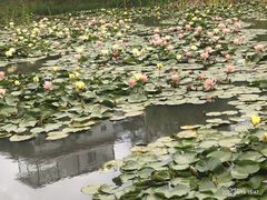 -清溪水库
