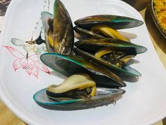 新西蘭活翡翠貽貝-無鱼鳞比