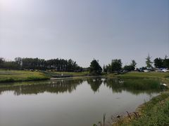 -两河城市森林公园