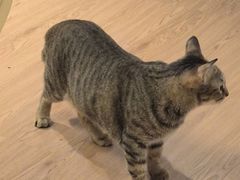 -伽利略剧本探案馆(国贸店)