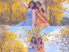 -天适樱花悠乐园