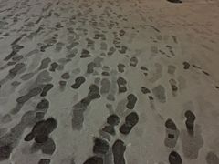 -Helens海伦司小酒馆(对外经贸大学店)