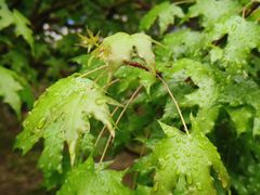 -长椿街(地铁站)