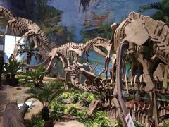 -自贡恐龙博物馆