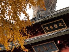 -上海东林寺(金山区)