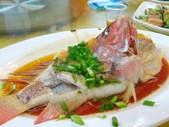 -年辉渔村